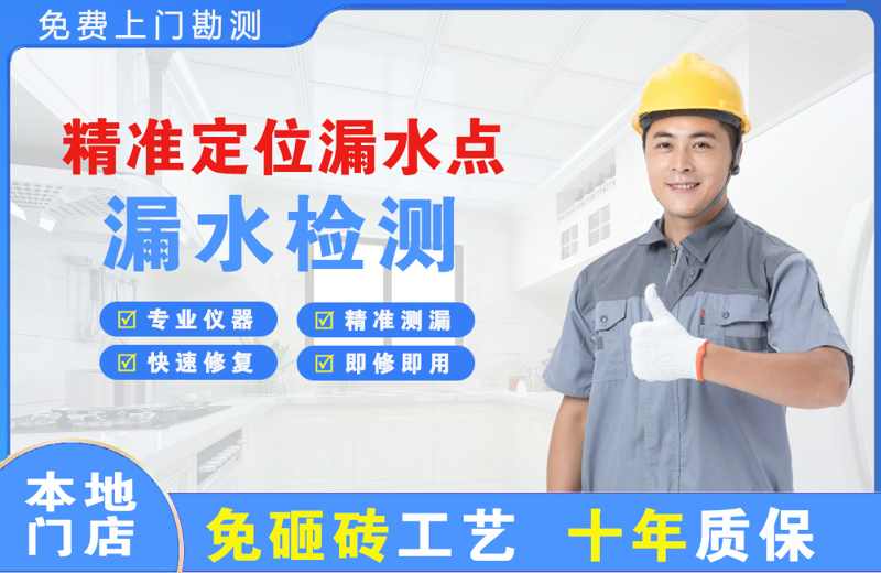 会山精准测漏点